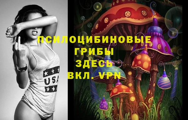 твердый Куйбышев