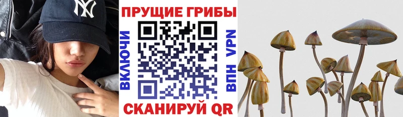 Галлюциногенные грибы Magic Shrooms  Слюдянка 