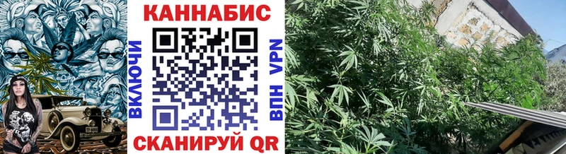 где можно купить наркотик  Слюдянка  Конопля план 